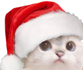 :NoelCat: