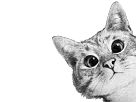 :lurkcat: