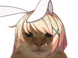 :Chat_Rumi: