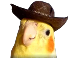 :bird: