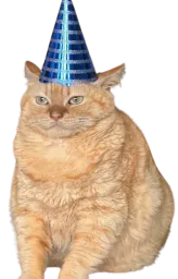 :Chat_fiesta: