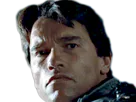 :arnold_chad: