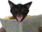 :chatjournal: