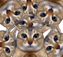 :multicha: