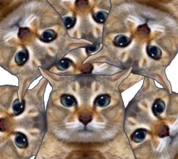 :multicha: