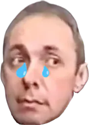 :steklovasad: