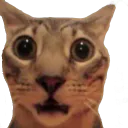 :lifelike13: