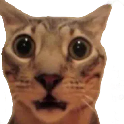 :lifelike13: