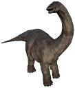 :Apatosaurus: