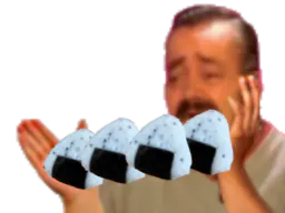 :Onigirisitas: