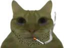 :chatcig: