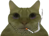 :chatcig: