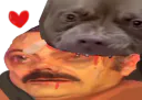 :Il_est_gentil: