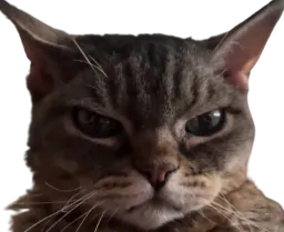 :Barbara: