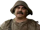 :pecore: