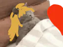 :Chadorlove1: