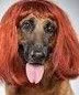 :Berger_allamnd_traps2: