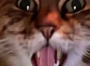 :chat_zoom_rrr: