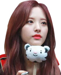 :bona_panda: