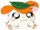 :Ham: