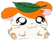 :Ham: