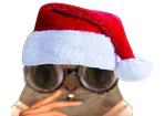 :ChaNoelFume: