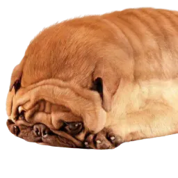 :Briochien: