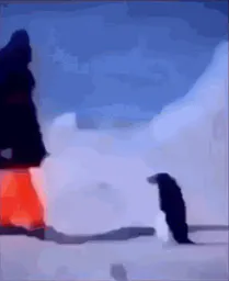 :Pingouin_missile: