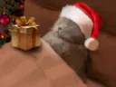 :ChadortNoel: