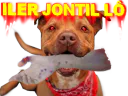 :iler_jontil:
