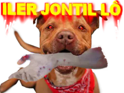:iler_jontil: