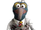 :Gonzo: