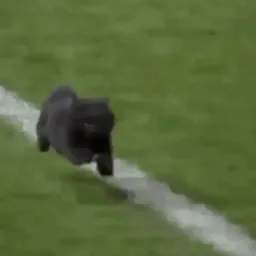 :ronaldochat: