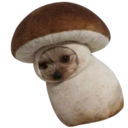 :uongipneihc: