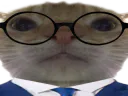 :chakoi: