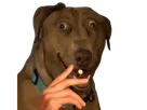 :clope-tarax: