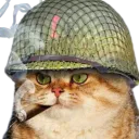 :Chat_soldat_: