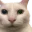 Photo de profil de Bordelent