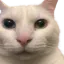 Photo de profil de Bordelent