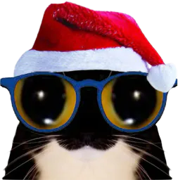 :chat_lunettes_bonnet2: