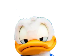 :canardgauche: