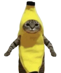 :boujou: