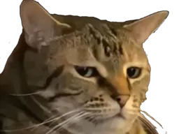 :chat_depite: