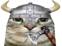 :CS_Viking: