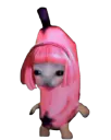 :chananeFillent: