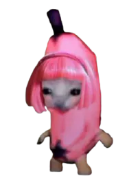 :chananeFillent: