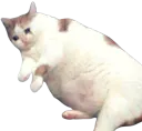 :Chatkebab: