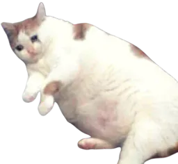 :Chatkebab: