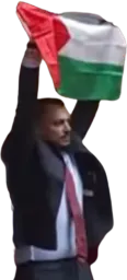 :depute_palestine: