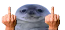 :Phoque_you: